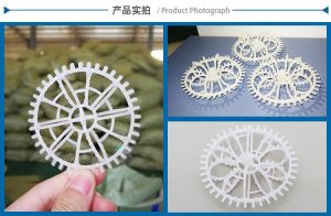 PP 拉西环