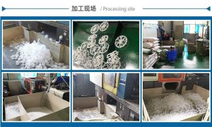PP 拉西环