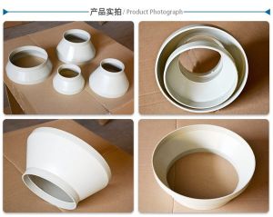 PP 大小头