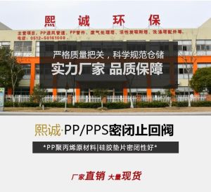 PP Check Valve